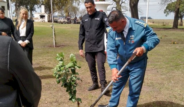 Unidad 14_especioverde_Alvear